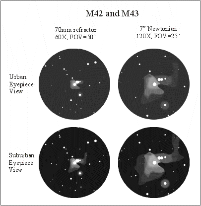 Great Orion Nebula: Urban and Suburban Views